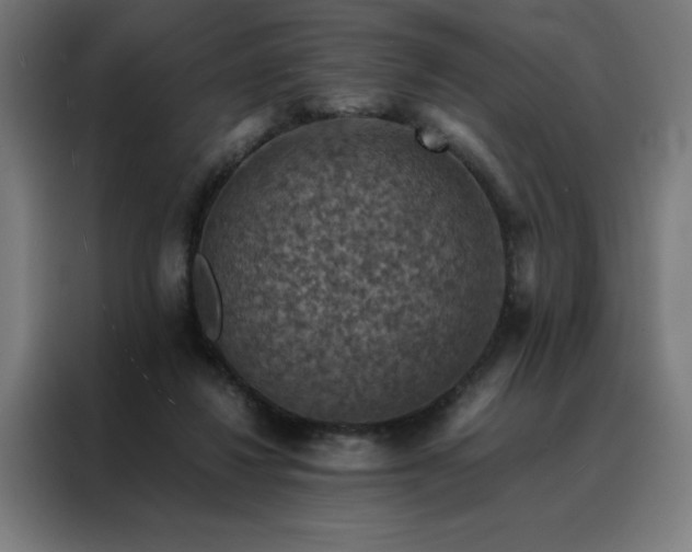 X0000088230260200705221831