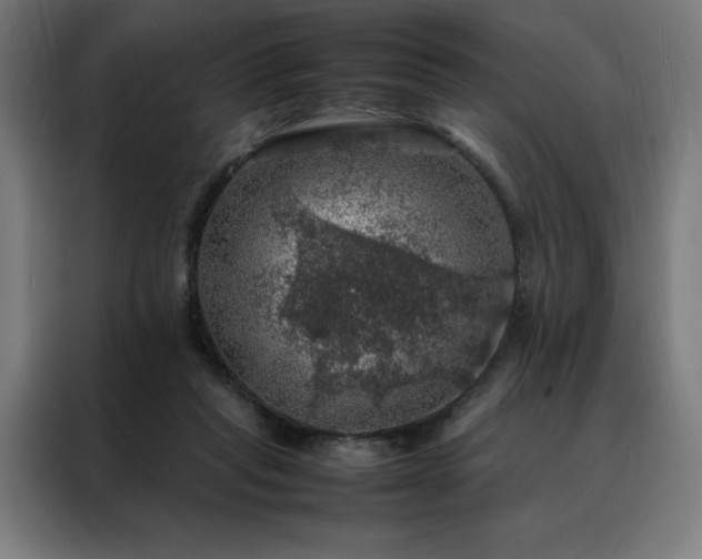 X0000088230261200705221831