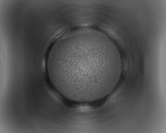 X0000088230262200705221831