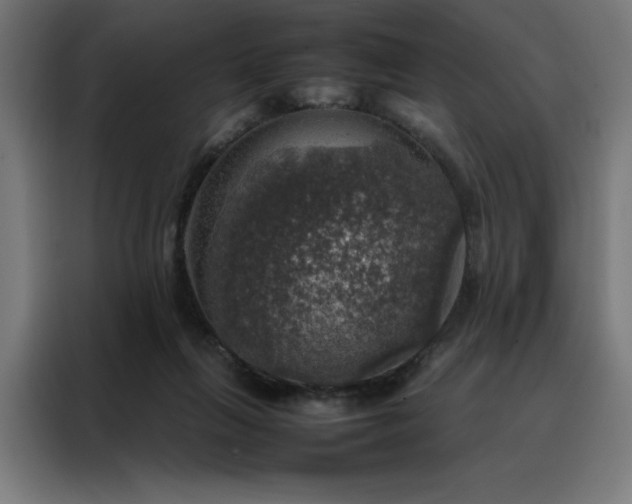 X0000088230263200705221831