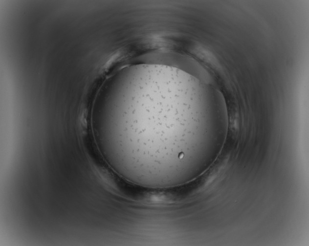 X0000088230264200705221831