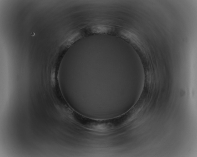 X0000088230267200705221831