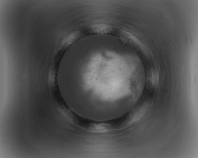 X0000088230268200705221831