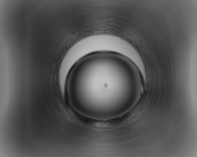X0000088230272200705221831