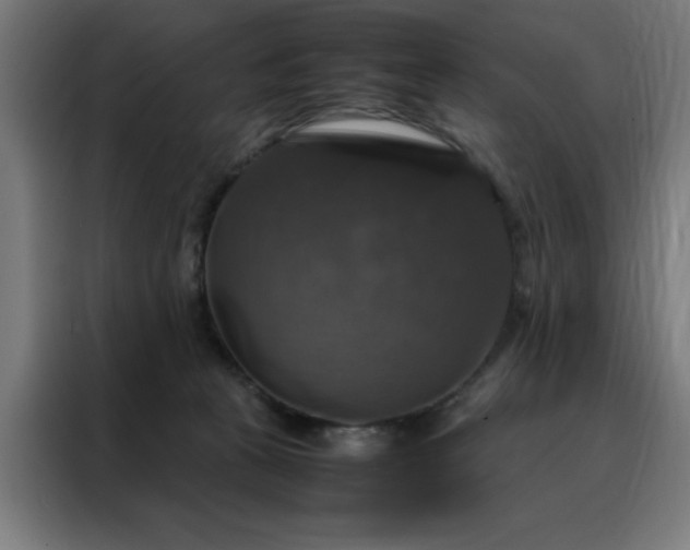 X0000088230273200705221831