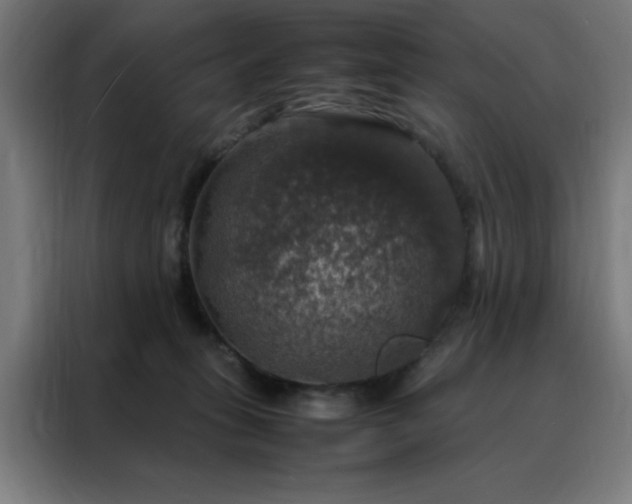 X0000088230275200705221831