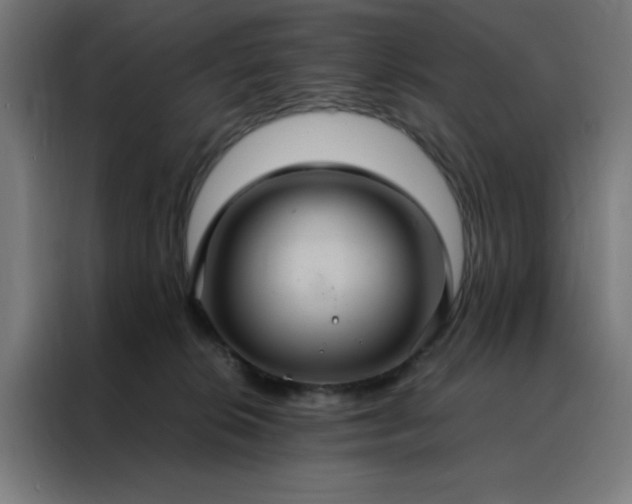 X0000088230276200705221831