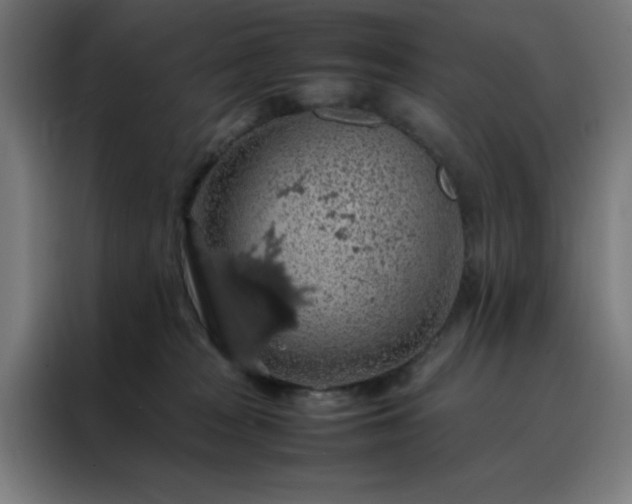 X0000088230277200705221831