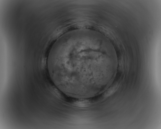 X0000088230278200705221831