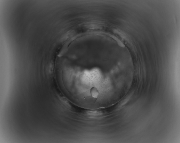X0000088230281200705221831