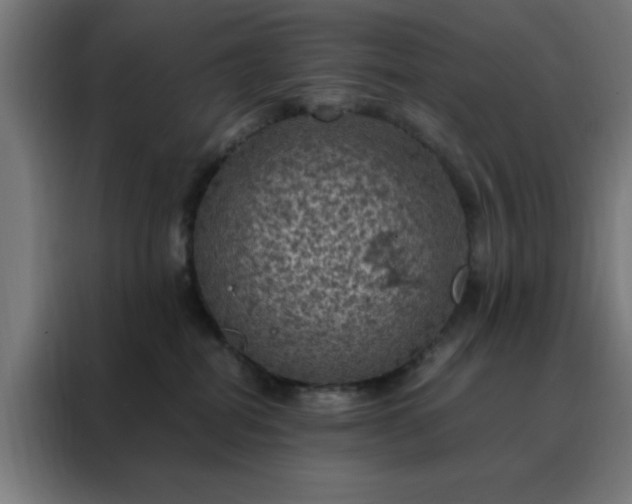X0000088230282200705221831