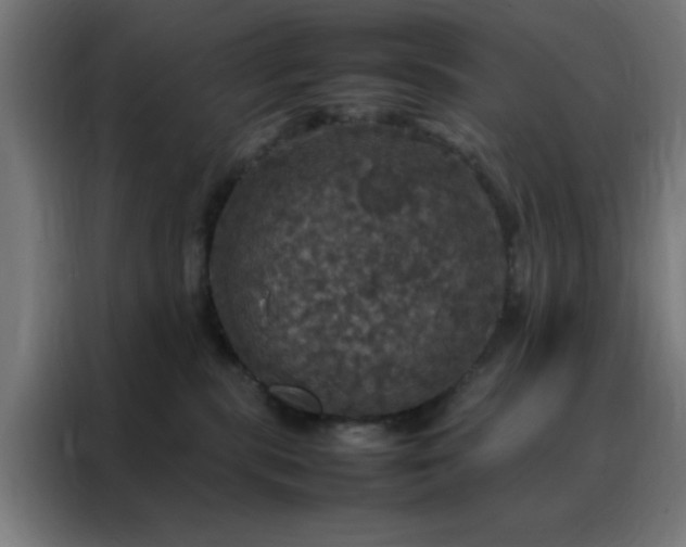 X0000088230283200705221831