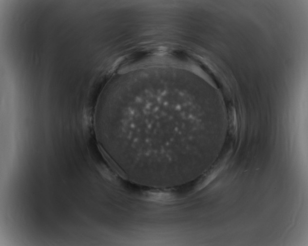 X0000088230284200705221831