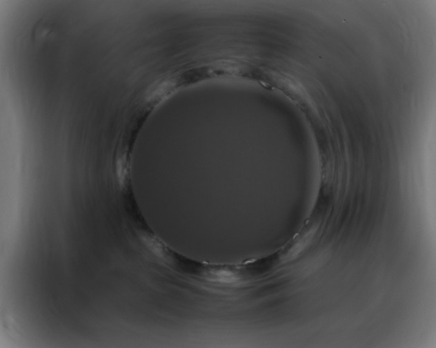 X0000088230285200705221831