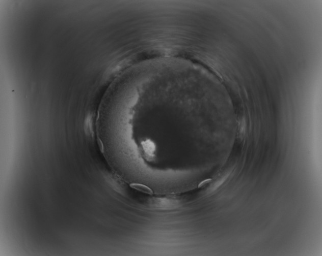 X0000088230286200705221831