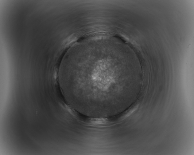 X0000088230288200705221831