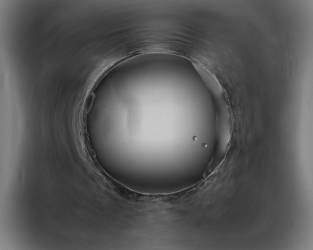 X0000088230289200705221830