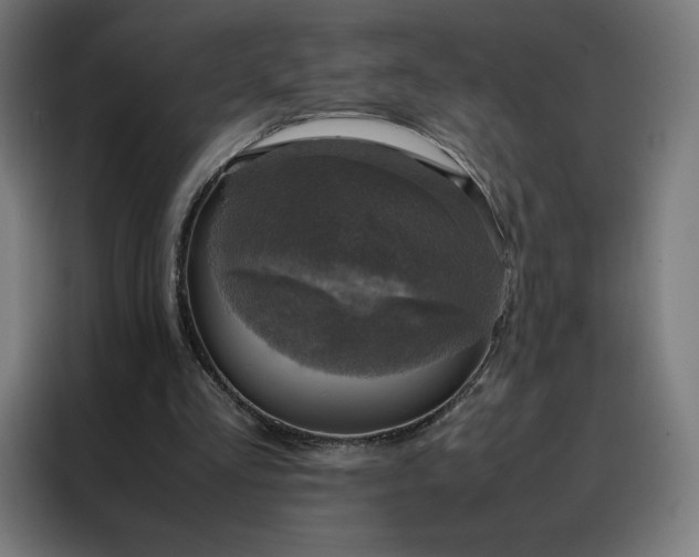 X0000088230293200705221830