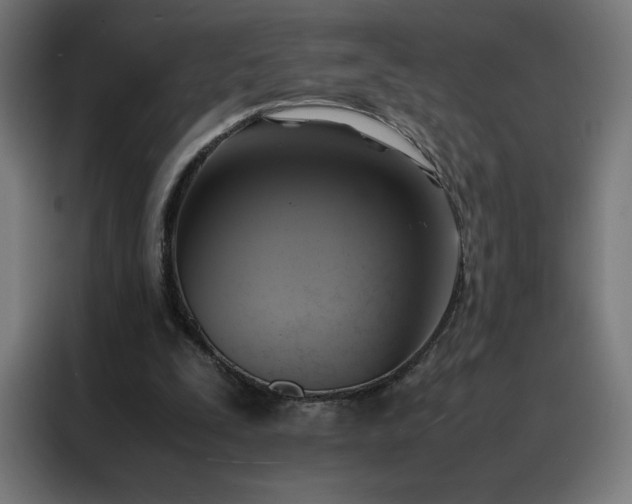 X0000088230295200705221830