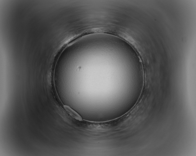 X0000088230297200705221830