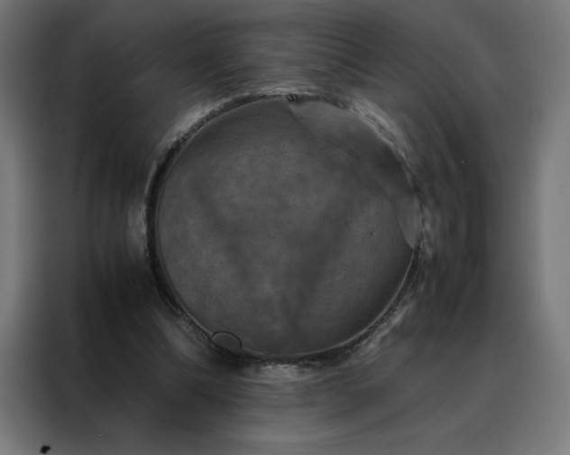 X0000088230298200705221830