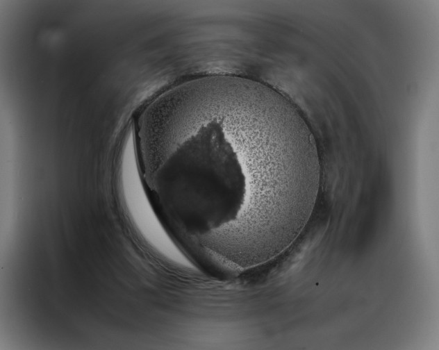 X0000088230299200705221830