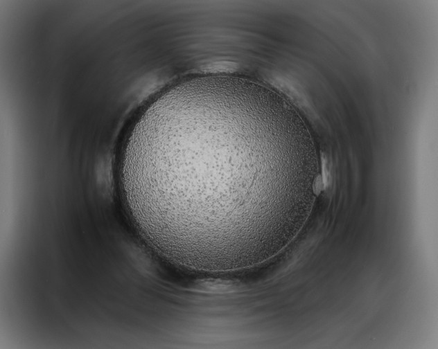 X0000088230300200705221830