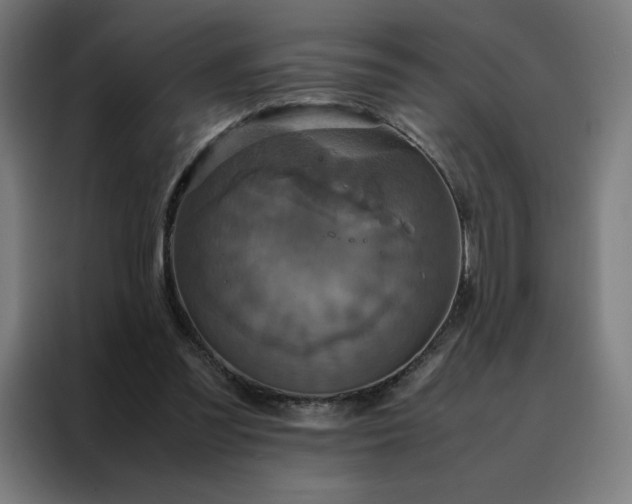 X0000088230301200705221830