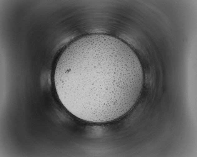 X0000088230302200705221830