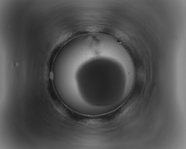 X0000088230303200705221830