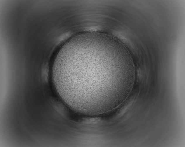 X0000088230304200705221830
