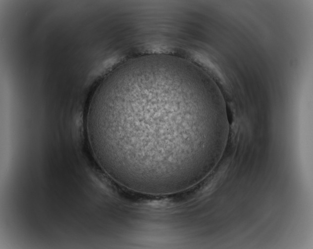 X0000088230306200705221830