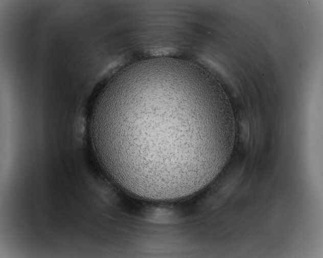 X0000088230308200705221830