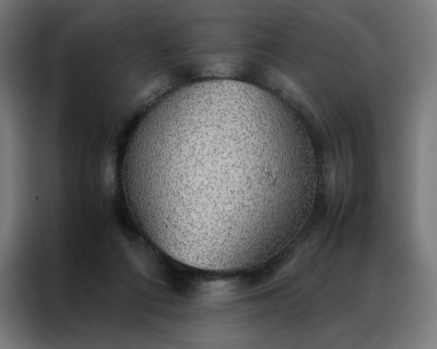 X0000088230312200705221830