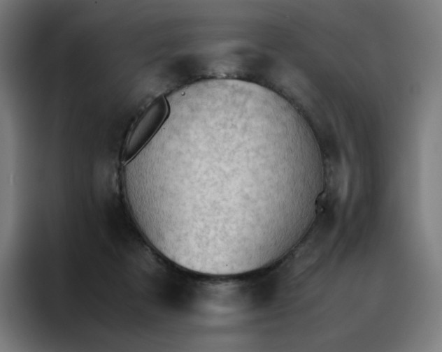 X0000088230313200705221830