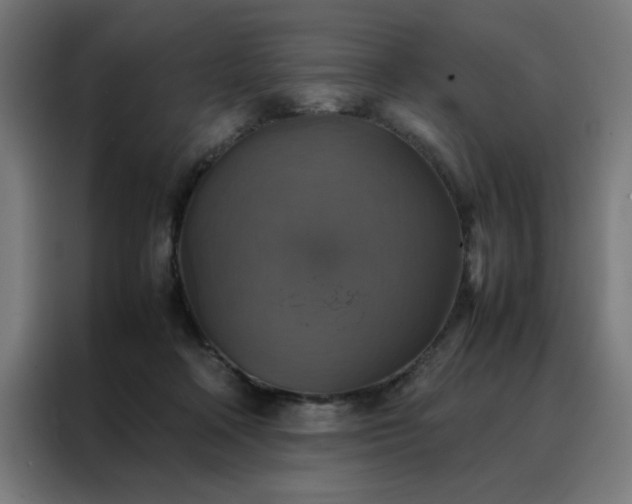 X0000088230314200705221830