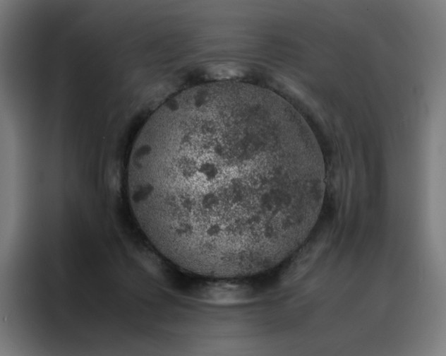 X0000088230315200705221830