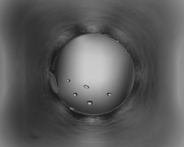 X0000088230317200705221830