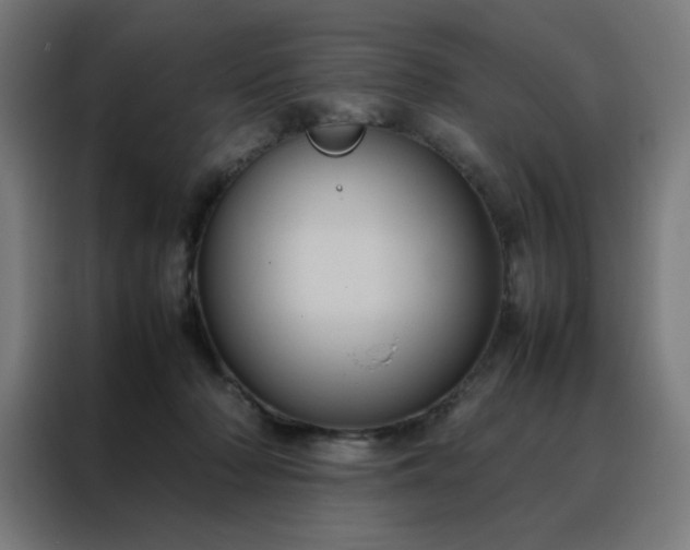 X0000088230318200705221830