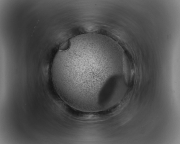 X0000088230319200705221830