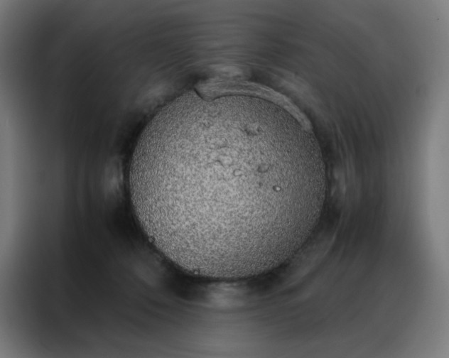 X0000088230320200705221830