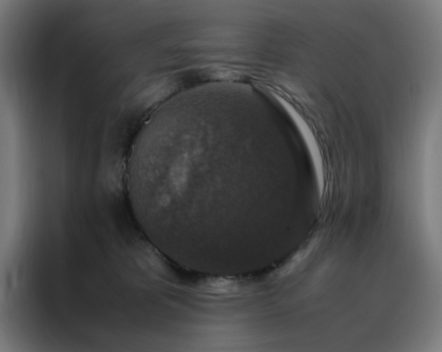 X0000088230325200705221830
