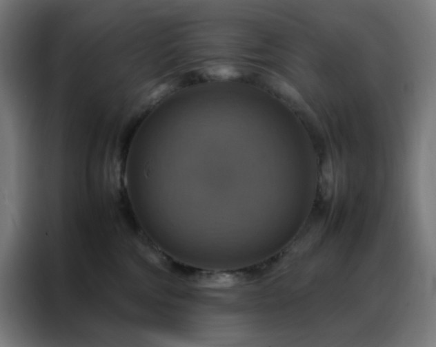X0000088230330200705221830