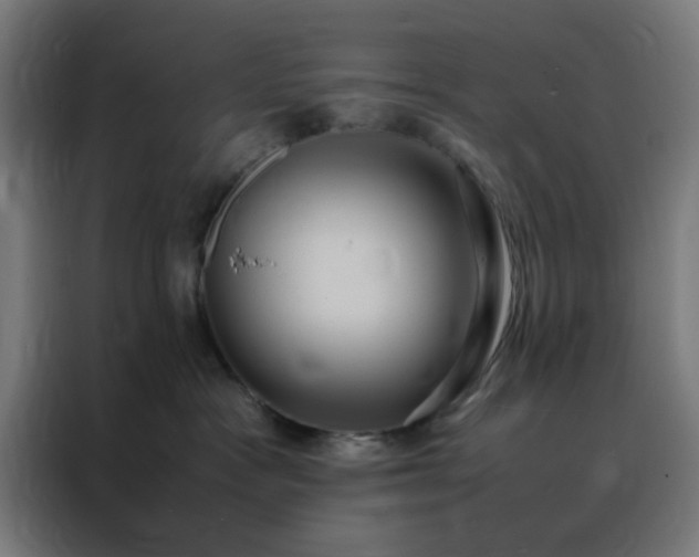X0000088230333200705221830