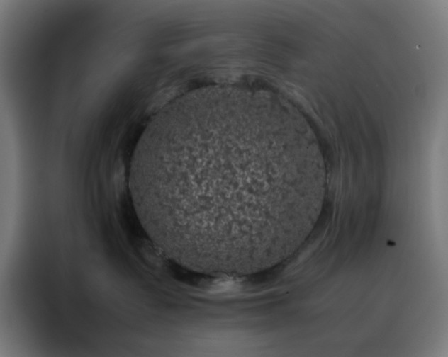 X0000088230335200705221830