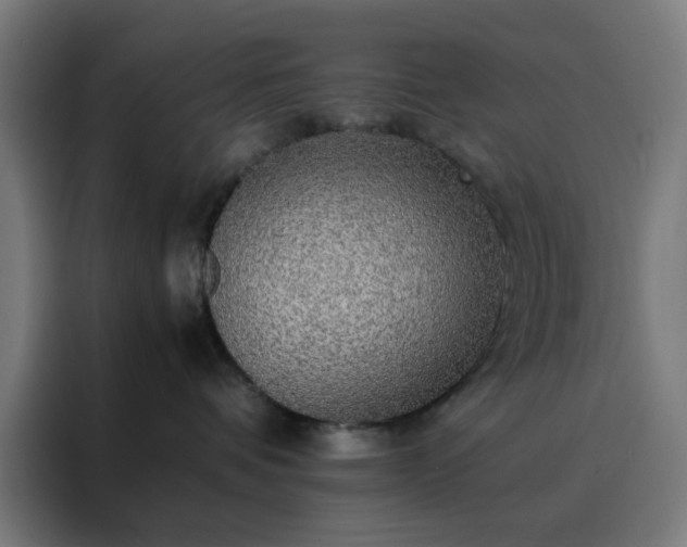 X0000088230336200705221830