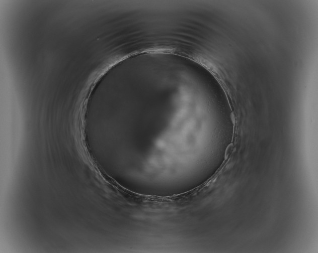 X0000088230337200705221829