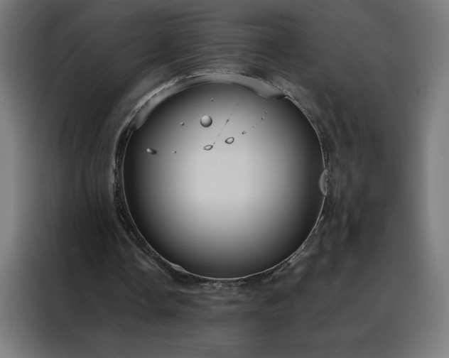X0000088230338200705221829