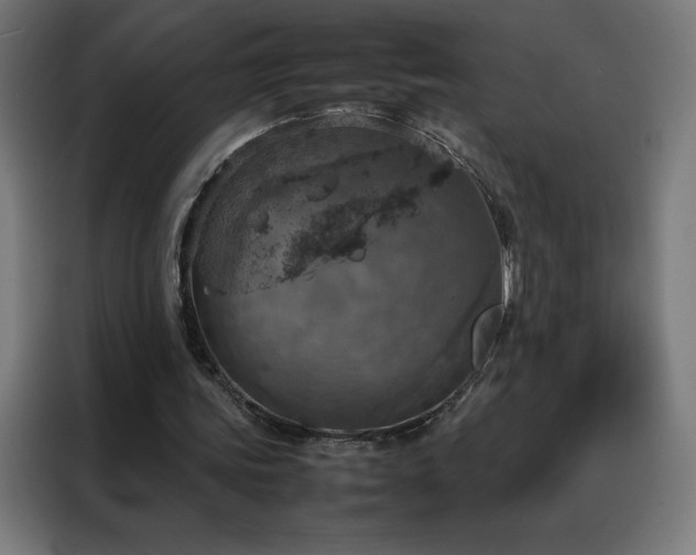 X0000088230339200705221829