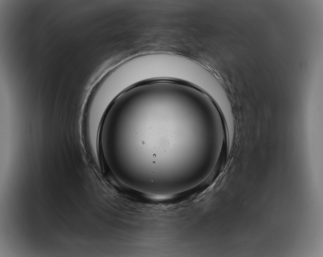 X0000088230340200705221829